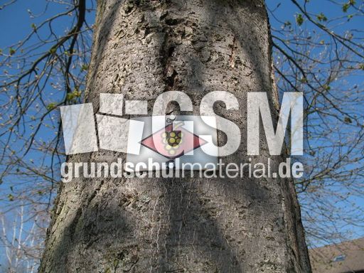 Weil am Rhein Weiler Weinweg 002.jpg